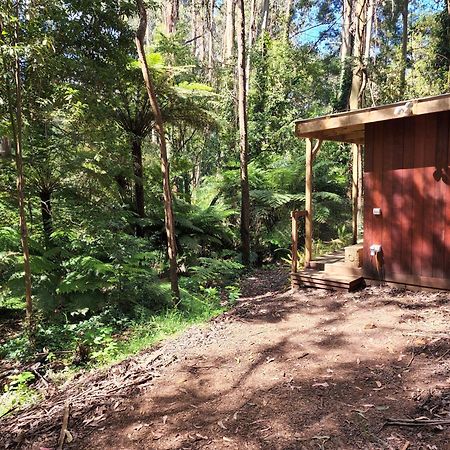 The Fernglen Forest Retreat Mont Dandenong Extérieur photo