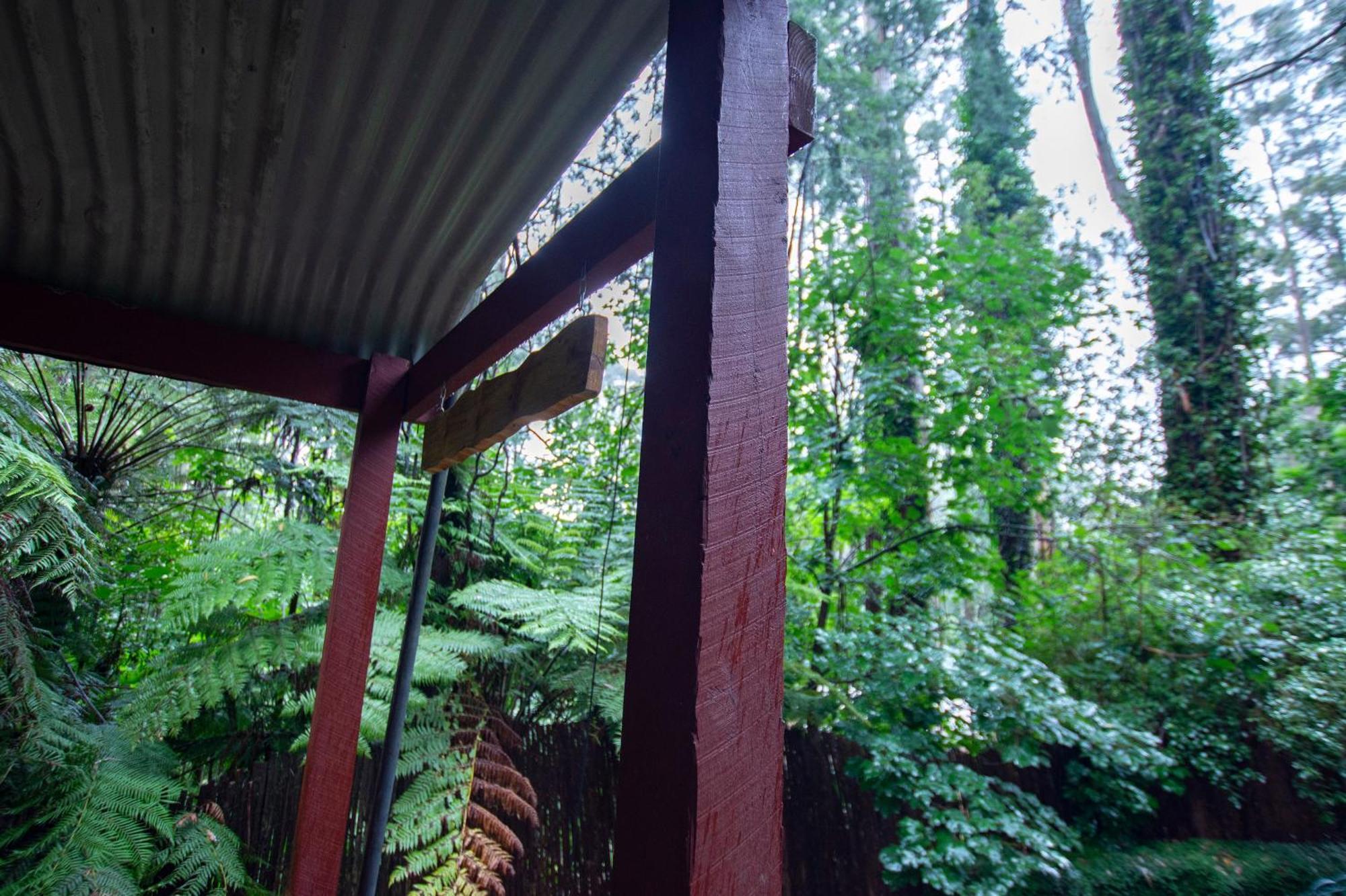 The Fernglen Forest Retreat Mont Dandenong Extérieur photo