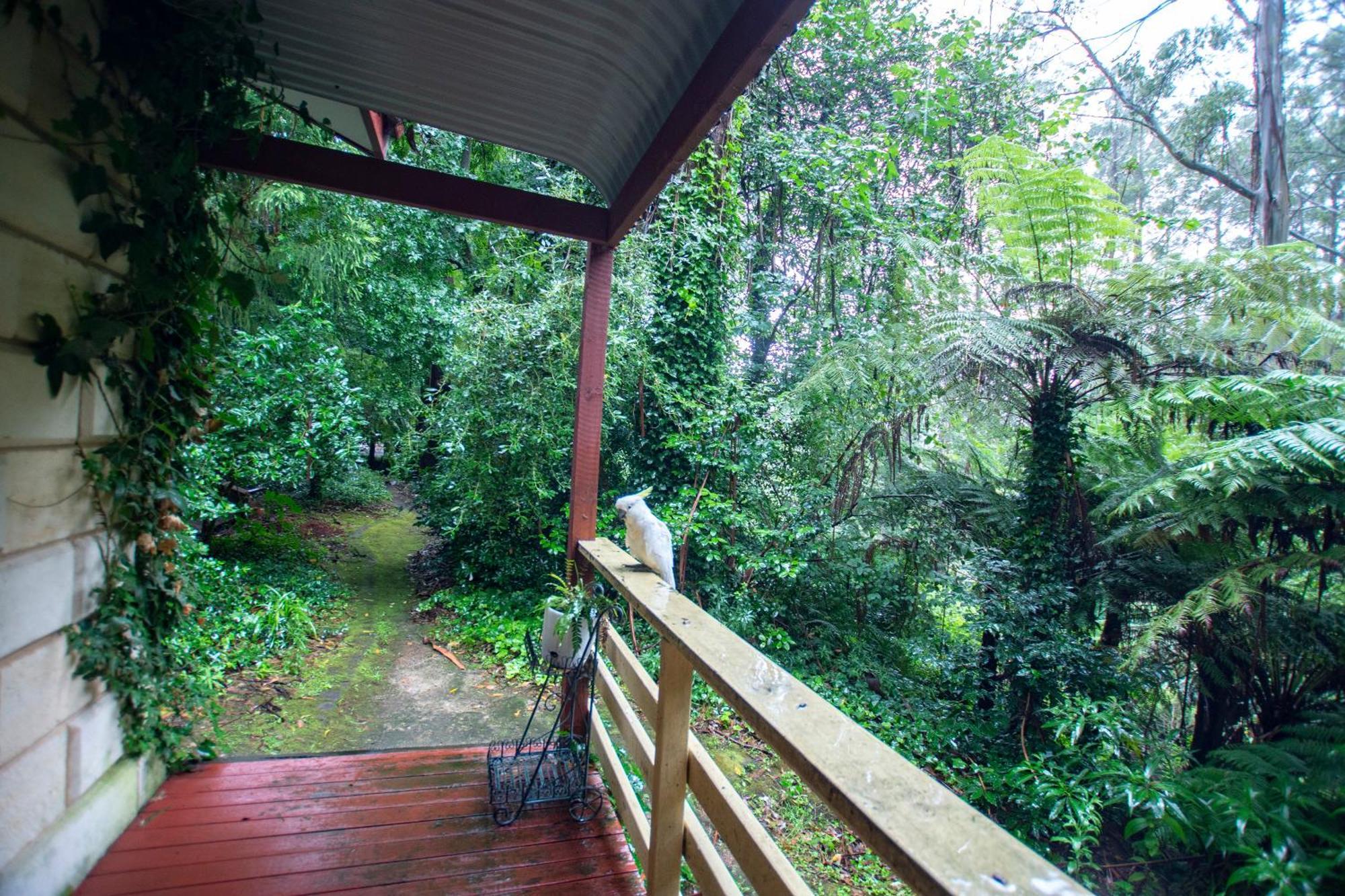The Fernglen Forest Retreat Mont Dandenong Extérieur photo