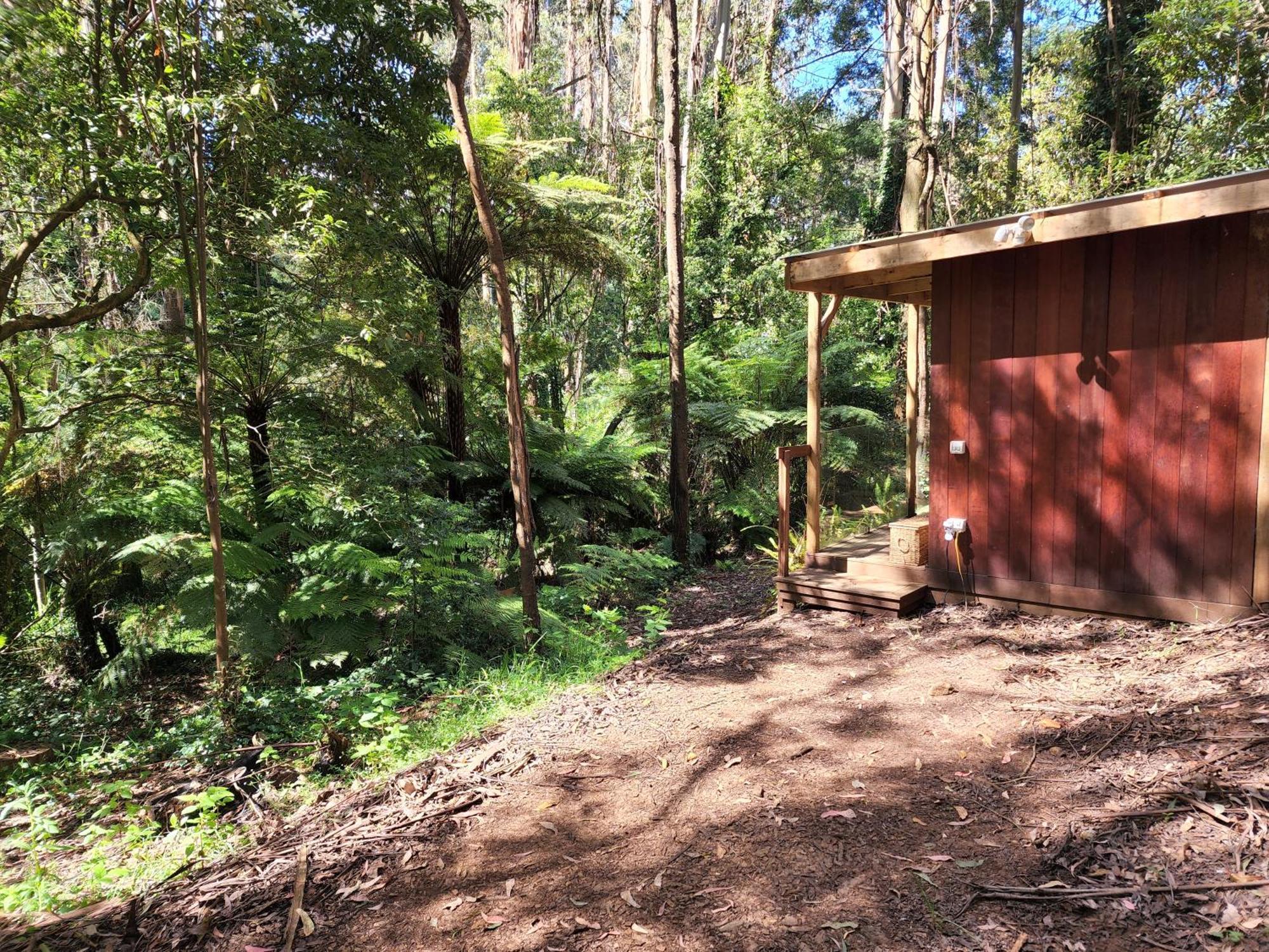 The Fernglen Forest Retreat Mont Dandenong Extérieur photo