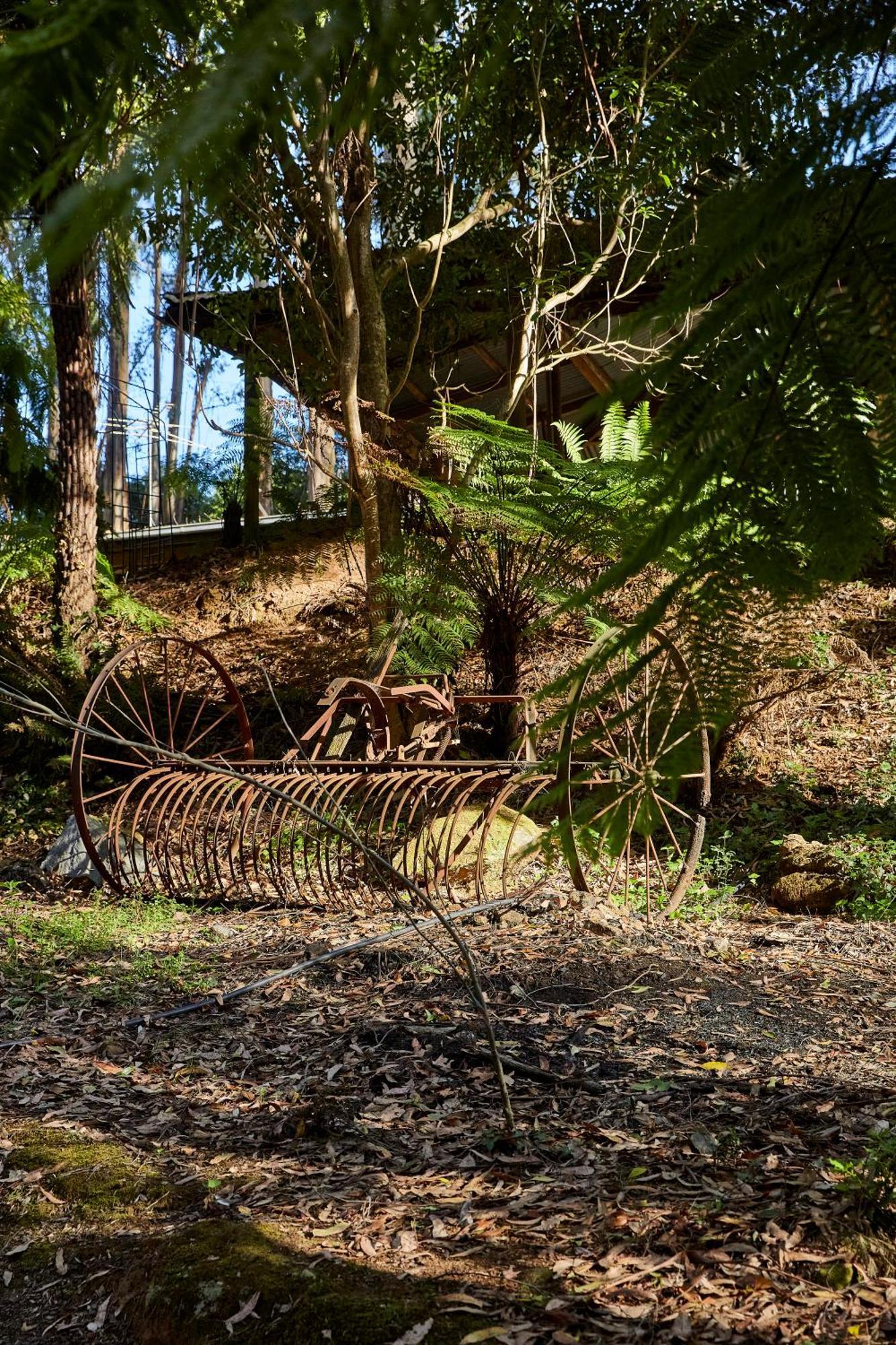 The Fernglen Forest Retreat Mont Dandenong Extérieur photo