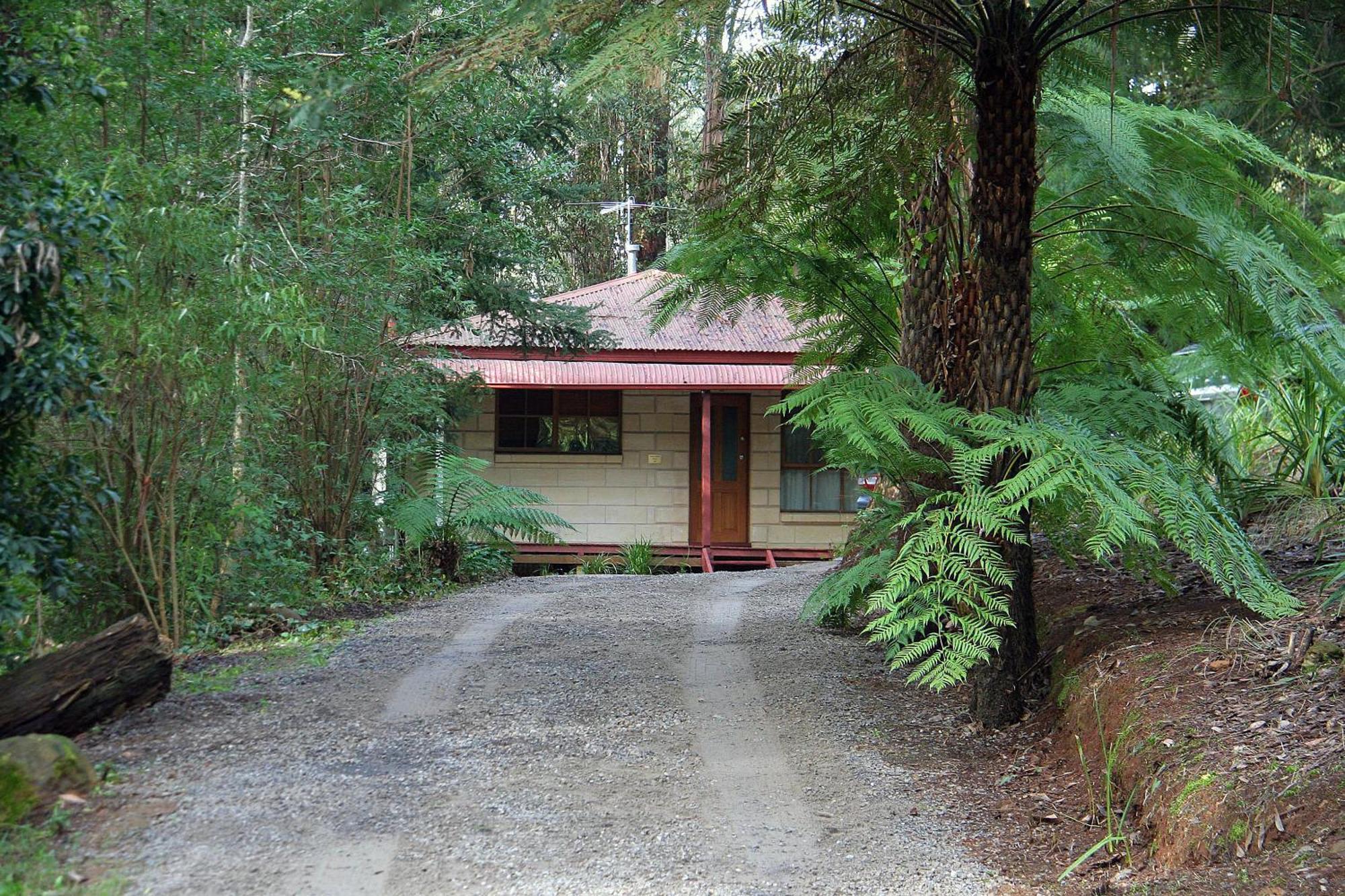 The Fernglen Forest Retreat Mont Dandenong Extérieur photo