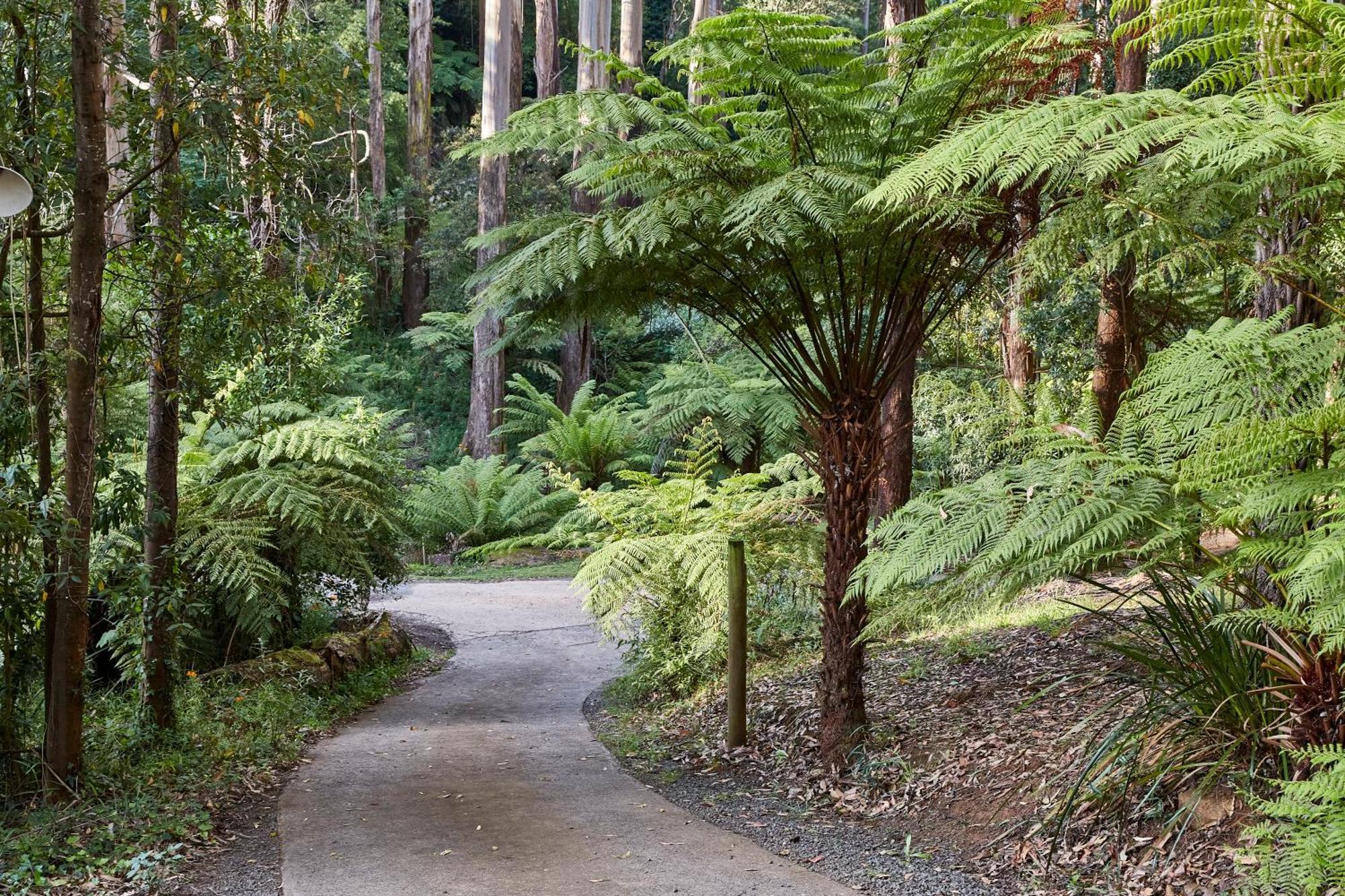 The Fernglen Forest Retreat Mont Dandenong Extérieur photo