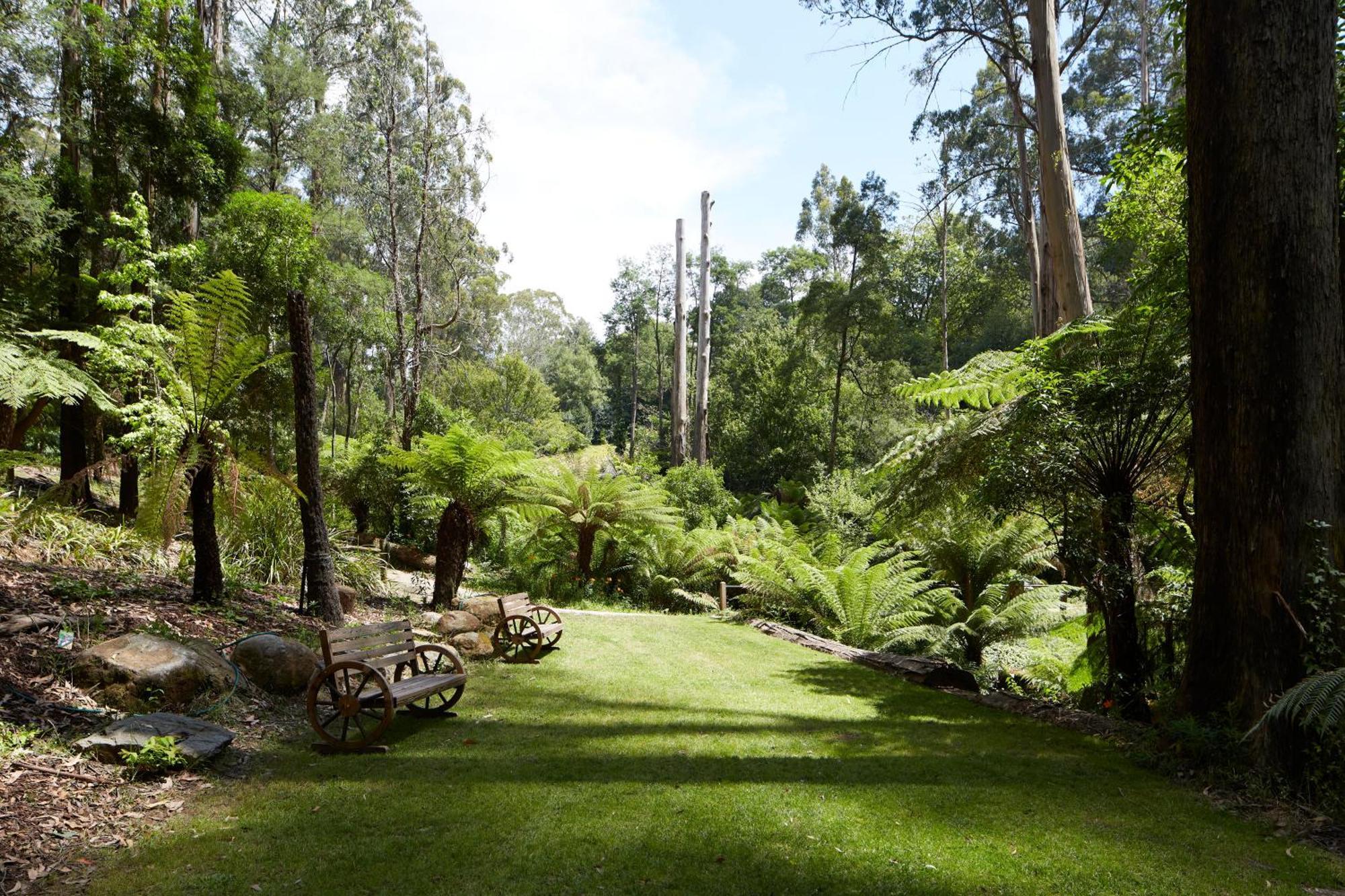 The Fernglen Forest Retreat Mont Dandenong Extérieur photo