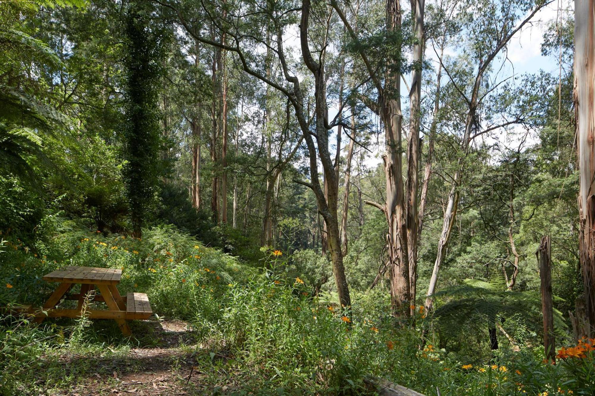 The Fernglen Forest Retreat Mont Dandenong Extérieur photo