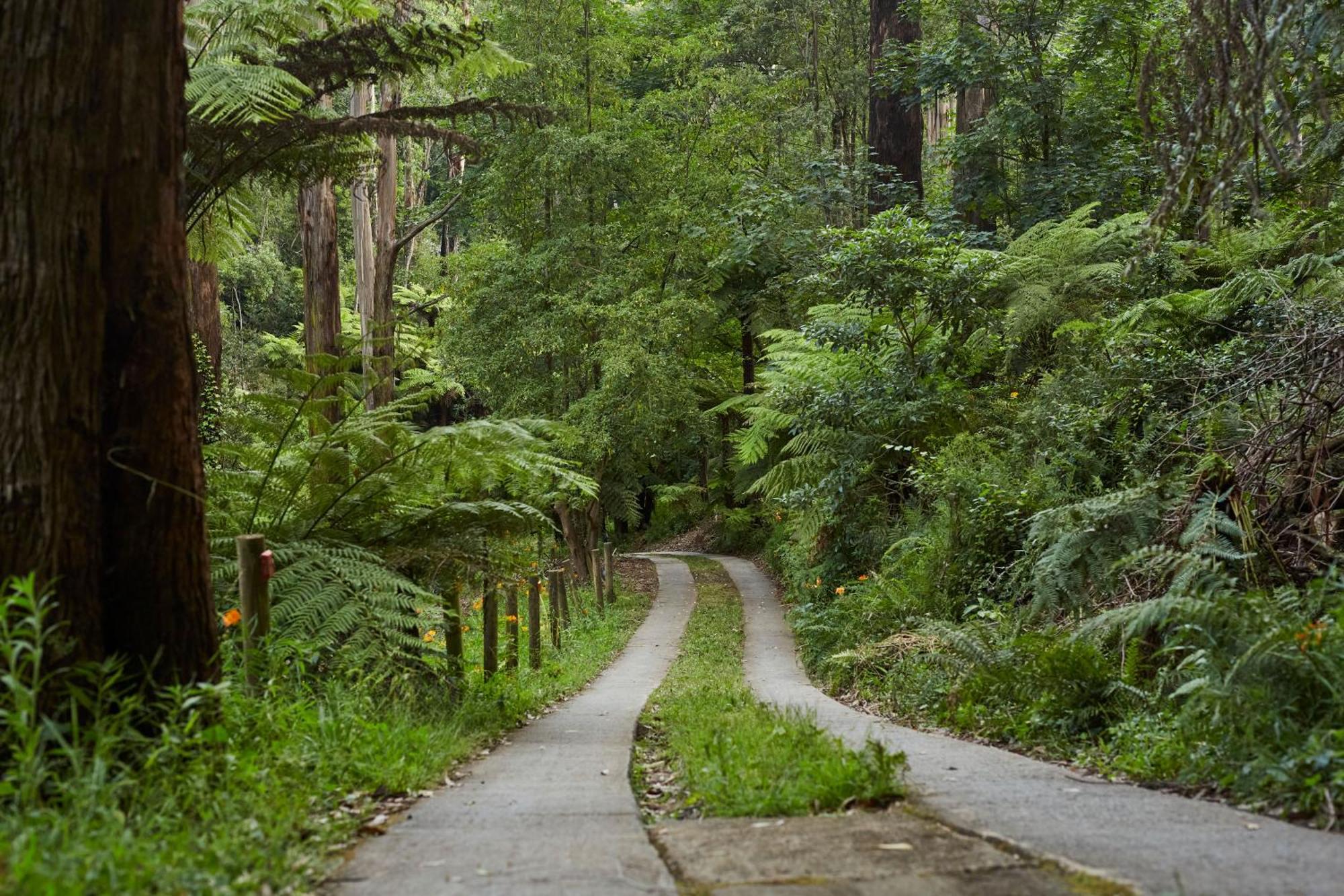 The Fernglen Forest Retreat Mont Dandenong Extérieur photo
