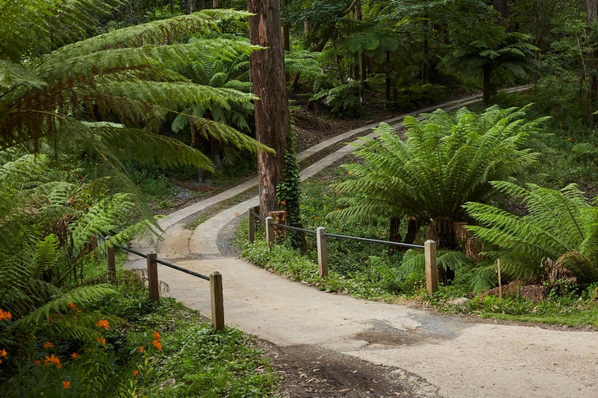 The Fernglen Forest Retreat Mont Dandenong Extérieur photo