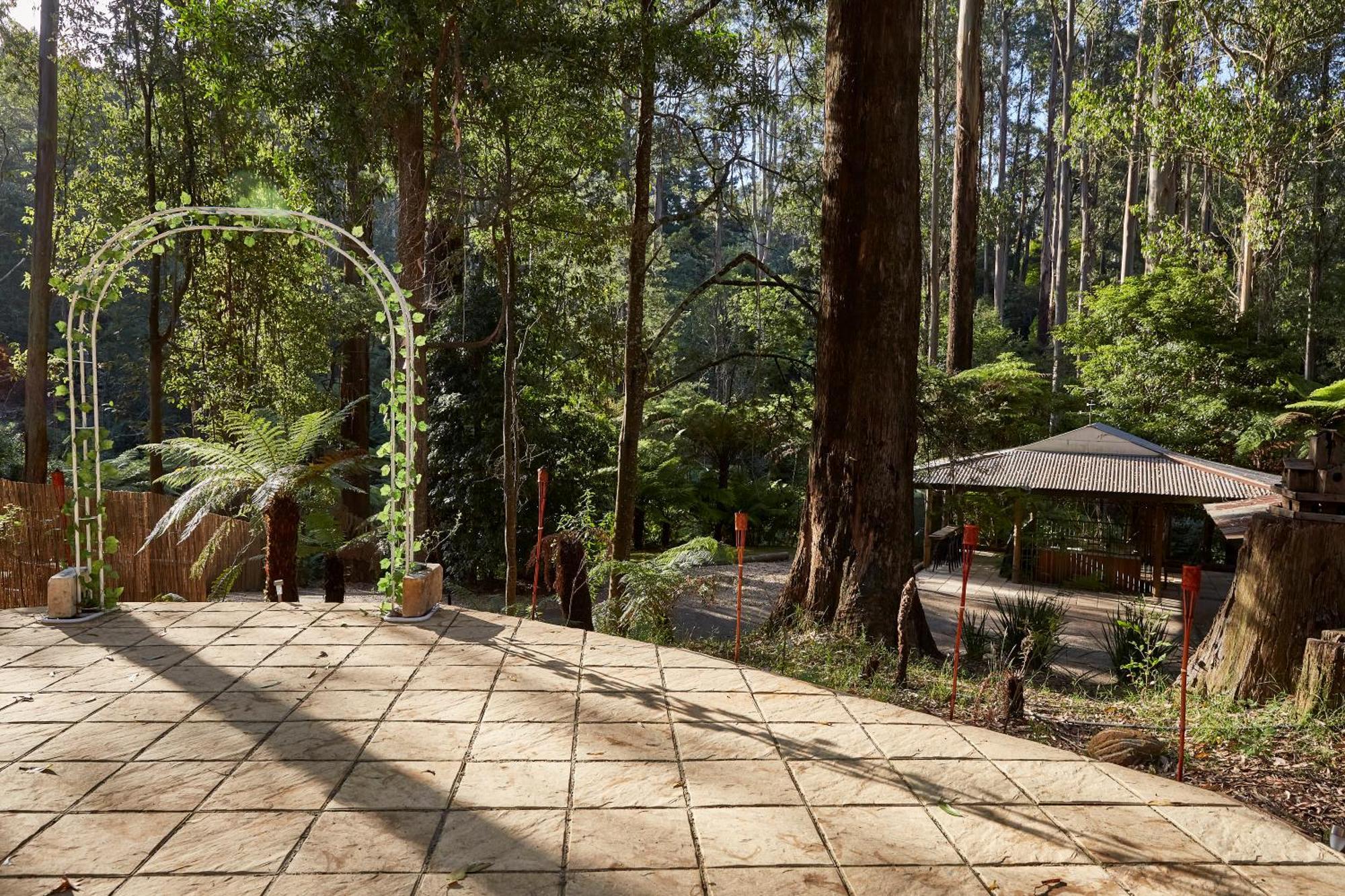 The Fernglen Forest Retreat Mont Dandenong Extérieur photo